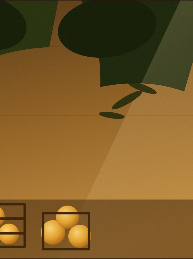 The Weight of Mangoes poster artwork